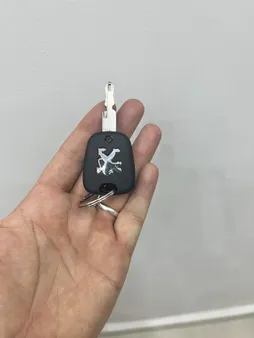 قاب ریموت خودرو کروز + مدل Fab206 مناسب برای پژو 206