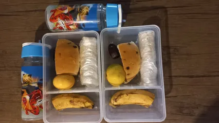 ظرف غذا مدل ویرو 16. 24