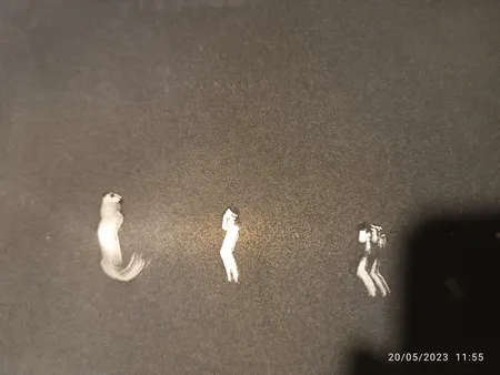 رک شبکه مدل 4u-36