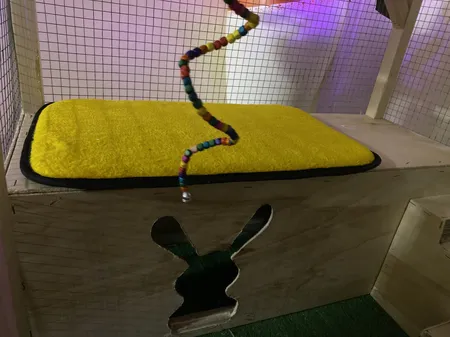 تشک خواب سگ و گربه کد TB-113