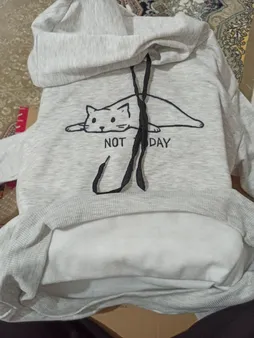 هودی زنانه طرح Not Today کد S361