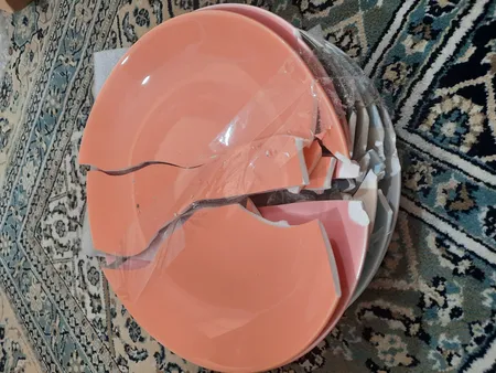 بشقاب غذاخوری مدل دیانا NB24 بسته 6 عددی