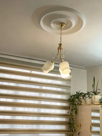 لوستر دیلایت طرح گیلاسی کد AZ1402/3-DLT780