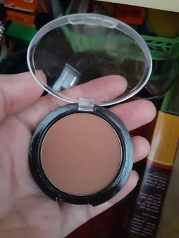 رژ گونه آلپین شماره 01