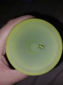 تجریه خرید قمقمه ورزشی مدل سه قلو گنجایش 2 لیتر بسته 3 عددی