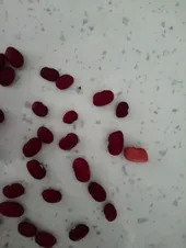 تجریه خرید لوبیا قرمز 125 - 900 گرم