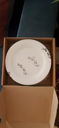 پیش دستی چينی زرين ايران سری هتلی 49 کد 20 درجه عالی بسته 6 عددی