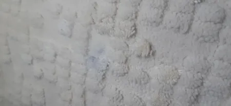 اسپری پاک کننده و لکه بر مبل و فرش استونیش مدل 3X Permium حجم 750 میلی لیتر