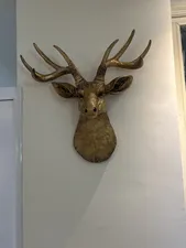 تجریه خرید دیوارکوب دنیا دکوری سرمد مدل گوزن 4 شاخ