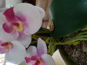 تجریه خرید انگشتر طلا 18 عیار زنانه با طرح کارتیه رضا گلد مدل 02 سایز 62