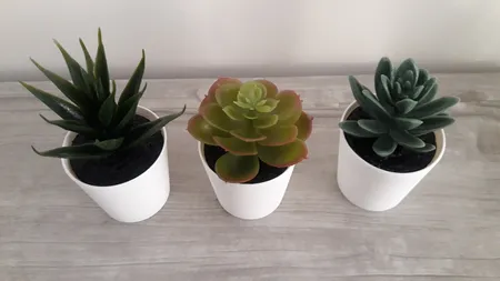 گلدان و گل مصنوعی ایکیا مدل 20395331 - FEJKA بسته 3 عددی