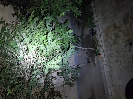 چراغ جلو دوچرخه مدل 7588