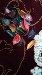 گل خشک بسته بندی مدل رنگارنگ