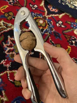 گردو و فندق شکن مدل FZ-714