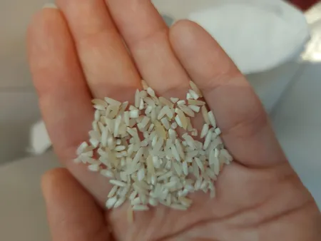 برنج ایرانی طارم فجر - 10 کیلوگرم