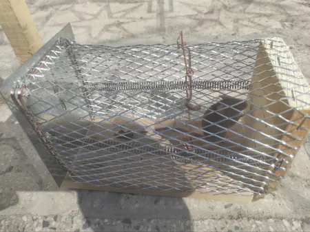 تله موش مدل قفسی