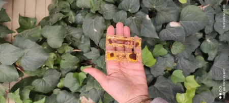 قالب رزین مدل گیره مو طرح کلاسیک کد SIM1