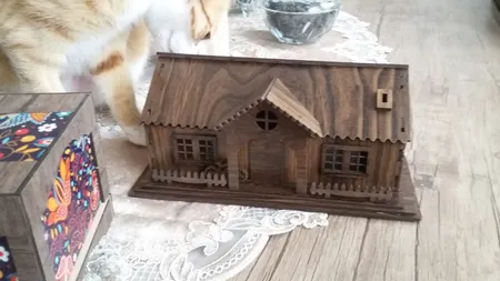 جعبه دستمال کاغذی طرح کلبه کد 0120