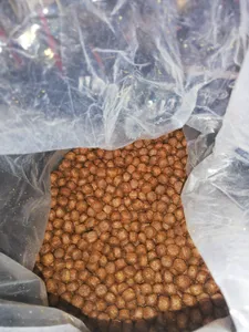 تجریه خرید غذای خشک سگ مفید مدل حمایتی وزن 10 کیلوگرم