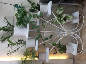 تجریه خرید استند گلدان مدل دم طاووسی