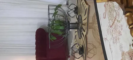 سبد میوه مدل Art33