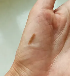 تجریه خرید مداد ابرو کالیستا بیوتی شماره 02