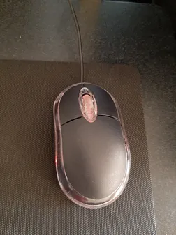 ماوس مدل B100