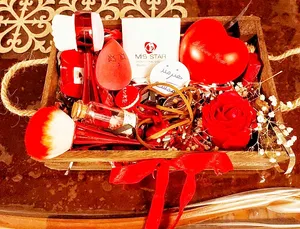 تجریه خرید پالت رژگونه و هایلایتر میستار شماره 6