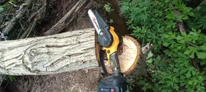 تجریه خرید اره زنجیری شارژی اینتیمکث کد 0101