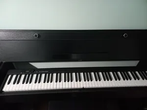 تجریه خرید پیانو دیجیتال مدل تاشو BX-20