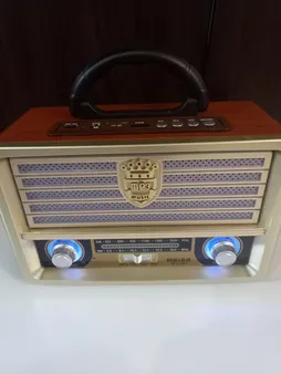 رادیو مییر مدل M-113BT