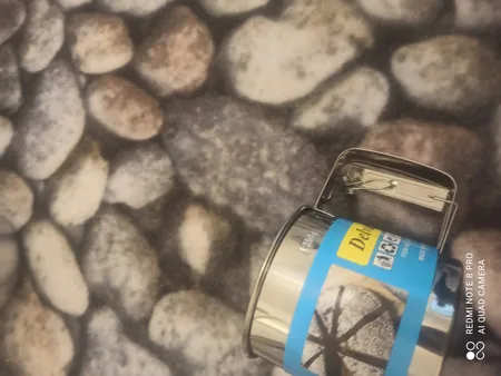 الک مدل چرخشی آمیتیس