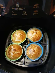 تجریه خرید سرخ کن بدون روغن سیلورکرست مدل JD689B