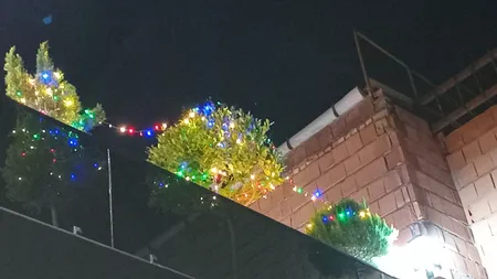 ریسه ال ای دی مدل سوزنی طول 25 متر