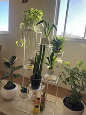 تجریه خرید استند گلدان مدل روبیکا