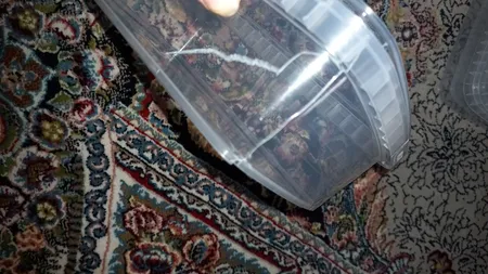 ظرف نگهدارنده پولاد پویش فریزری پولاد مدل بزرگ 1500cc بسته 12 عددی