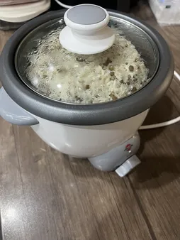 پلوپز 2 نفره پارس خزر مدل RC-61 Tyan