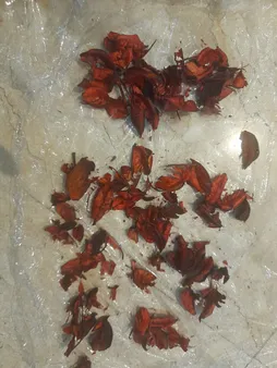 گل خشک مدل 501