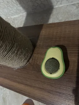 تشویقی دندانی گربه مدل آبنبات کت نیپ دار avo01