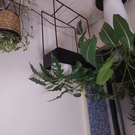 استند گلدان مدل پلنت باکس