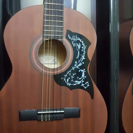 سیم گیتار کلاسیک مدل C800 Criterion