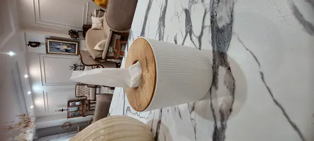 جای دستمال کاغذی لیمون مدل استوانه کد DH2370