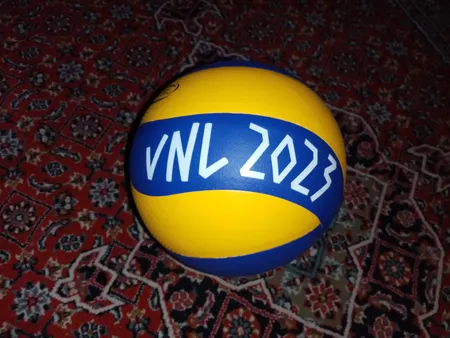 توپ والیبال چرمی بتا مدل MVA6000 سایز 5