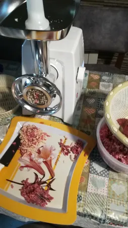 چرخ گوشت پارس خزر مدل Buffalo-2020