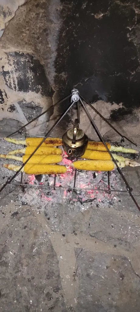 منقل سفری کد 726