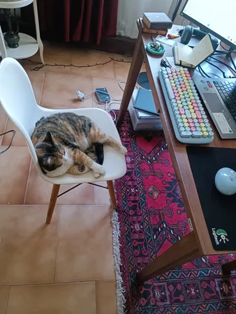 ماوس و کیبورد مافی مدل CANDY XR