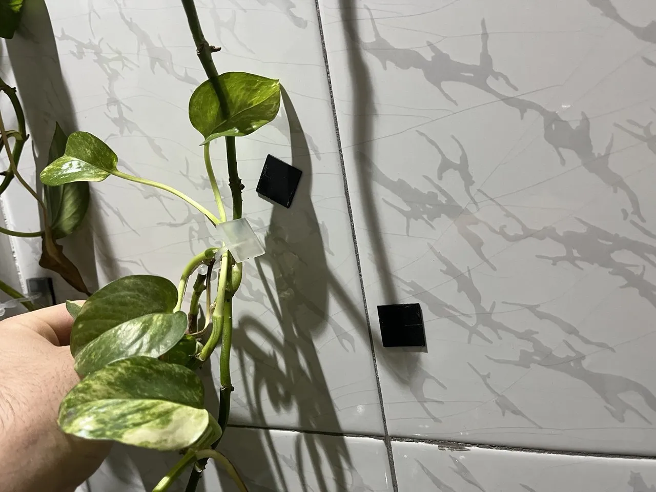 گیره مدل پتوس کد G20 بسته 20 عددی