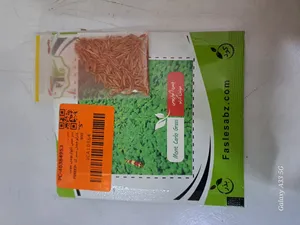 تجریه خرید بذر چمن آکواریومی مونت کارلو فصل سبز کد FSSEED-035