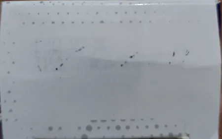 ژل ضد درد نوکس مدل Cool And Heat Therapy حجم 100 میلی لیتر