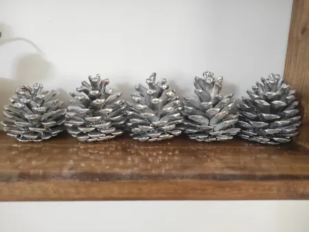 میوه تزیینی کاج مدل 121111مجموعه 5 عددی